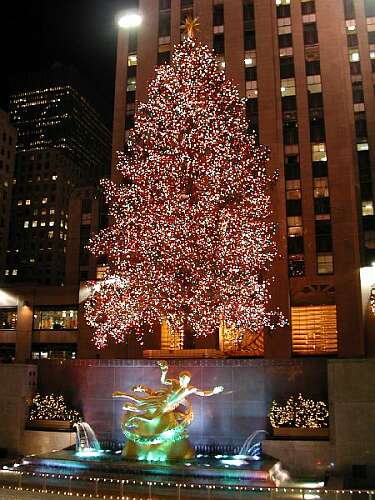 Rothschild Rockefeller Christmas Tree