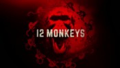 12 monkey's pox