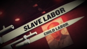 Slave Labor Mosley