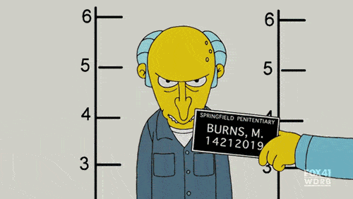 mr burns mugshot