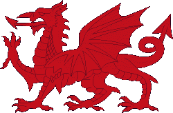 Dragon Speak China Wales