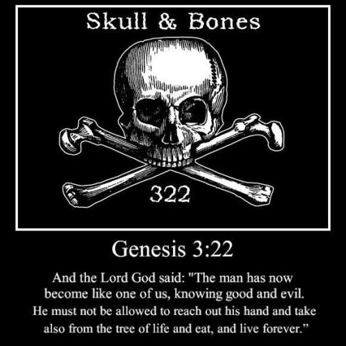 skull bones 322