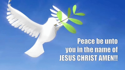 bruno dove of peace