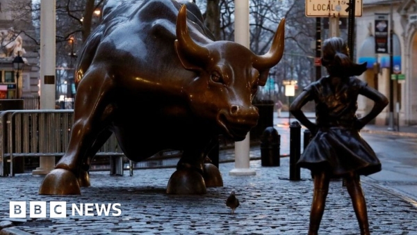 wall street bull