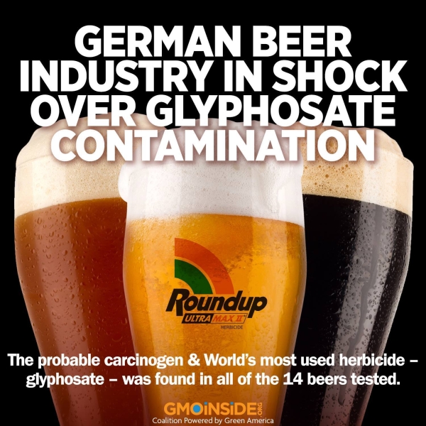 glypho beer