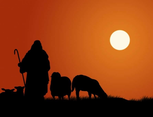 one shepherd one flock