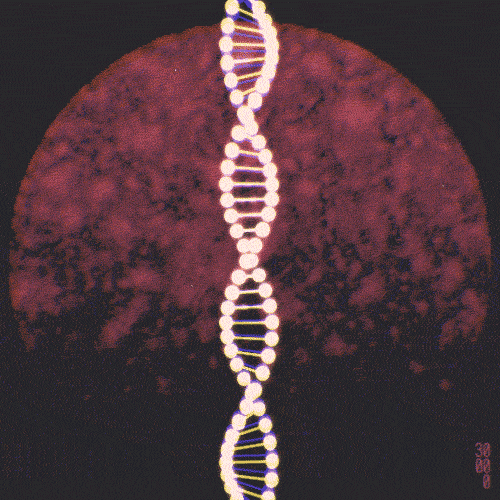DNA eternal life